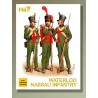 Inf. Nassau Waterloo1/72 | Scientific-MHD