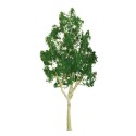 Eucalyptus tree 50mm - Ladder n | Scientific-MHD