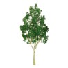 Eucalyptus tree 50mm - Ladder n | Scientific-MHD