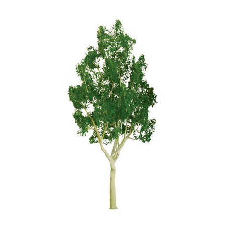 Eukalyptusbaum 75 mm - Loch | Scientific-MHD