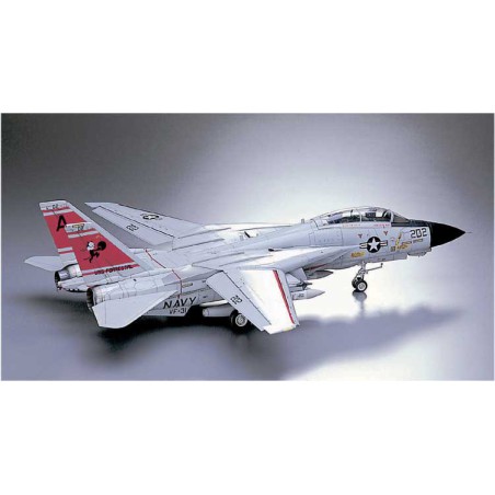 F-14A plastic plane model (ATLA) (P19) 1/48 | Scientific-MHD
