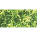 Foliages herbes FEUILLAGE EPAIS VERT CLAIR - 9,6dm2