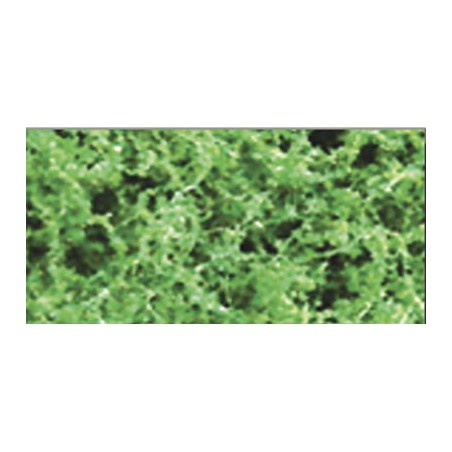 Foliage herbs medium green thick foliage - 9.6dm2 | Scientific-MHD