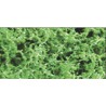 Foliage herbs medium green thick foliage - 9.6dm2 | Scientific-MHD