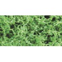 Foliages herbes FEUILLAGE FIN VERT MOYEN - 9,6dm2