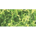 Foliages herbes FEUILLAGE VERT CLAIR - 9,6dm2