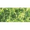 Foliages herbes FEUILLAGE VERT CLAIR - 9,6dm2