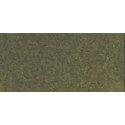 Earth -color Gazon Gazons | Scientific-MHD