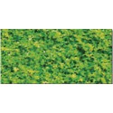 Green Green Green Gazons Assorted | Scientific-MHD