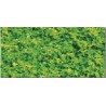 Green Green Green Gazons Assorted | Scientific-MHD