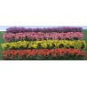 Flower plans hedge of matching colorful plants 125x9x15mm - Hole | Scientific-MHD
