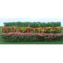 Flower plans hedge of assorted green plants 125x9x15mm - Hole | Scientific-MHD