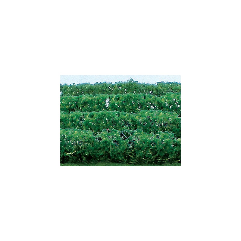 Plans de fleurs HAIE DE PLANTES VERTES 125x9x15mm - ECHELLE HO