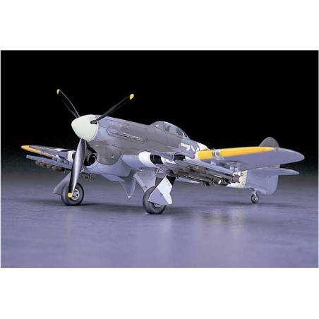 Typhoon Normandy plastic plane model (JT60) 1/48 | Scientific-MHD