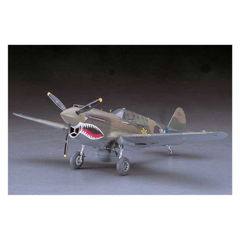 Maquette d'avion en plastique P40 E WARHAWK (JT86) 1/48
