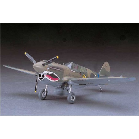 Maquette d'avion en plastique P40 E WARHAWK (JT86) 1/48