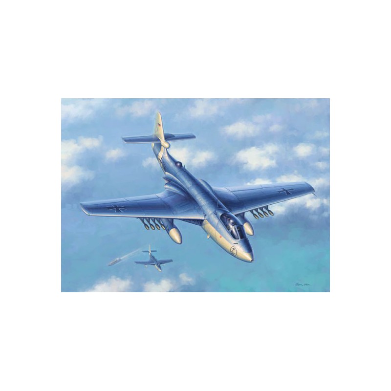 Maquette d'avion en plastique Seahawk MK.100/101 1/72