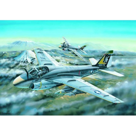 Plastic plane model A-6a Intruder 1/48 | Scientific-MHD