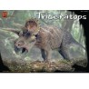 Science -Fiction -Modell in Triceratops 3 1/24 Triceratops | Scientific-MHD