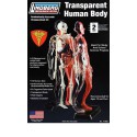 Maquette plastique éducative Corps Humain Transparent 1/6