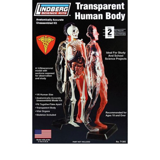 Maquette plastique éducative Corps Humain Transparent 1/6 Maquette plastique éducative Corps Humain Transparent 1/6