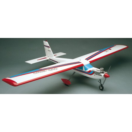 Radio-controlled thermal airplane quo-vadis | Scientific-MHD