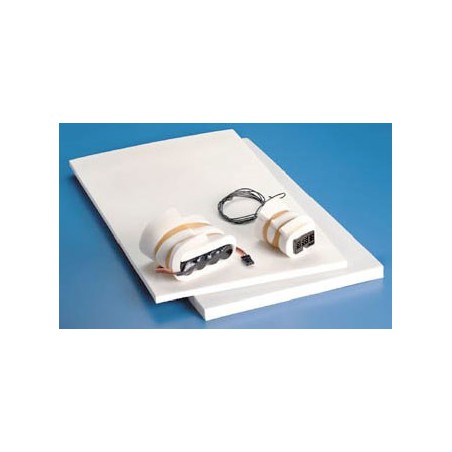 Eingebetteter Accessoire Latex Anti-Vibrationsschaum 12mm | Scientific-MHD