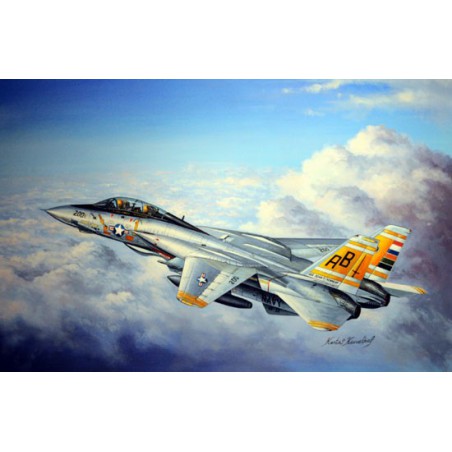 F-14A plastic plane model Tomcat 1/48 | Scientific-MHD