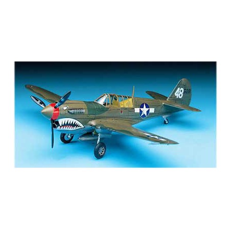 Maquette d'avion en plastique P-40M/N 1/72