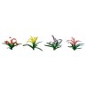 Flower plans plants of assorted flowers 21mm - lade ho | Scientific-MHD