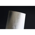 Materialien für Modell Silber Finishplatte | Scientific-MHD