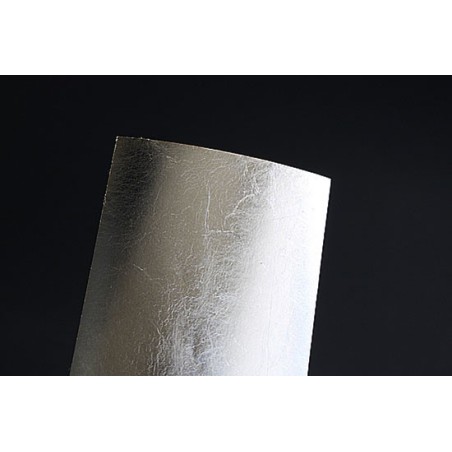 Materialien für Modell Silber Finishplatte | Scientific-MHD