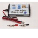 Charger for accusation for radio -controlled Lipo 2/4 swinging charger | Scientific-MHD