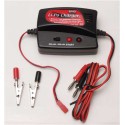 Lade -Ladegerät für radio -kontrollierte Lipo -Ladegerät 2 Earts 12 Volt Ladegerät | Scientific-MHD