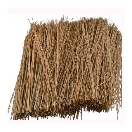 Golden Paturage grass 15g | Scientific-MHD