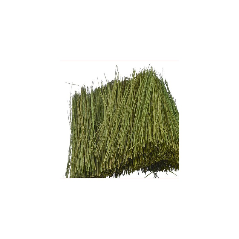 Gazons HERBE DE PATURAGE VERT CLAIR 15g
