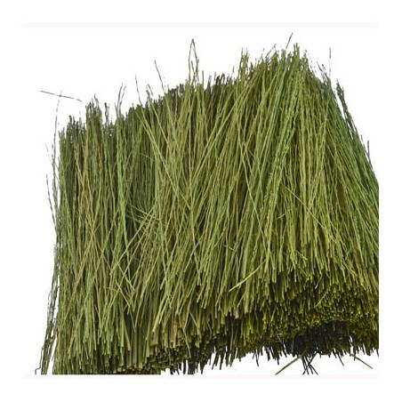 Gazons HERBE DE PATURAGE VERT CLAIR 15g