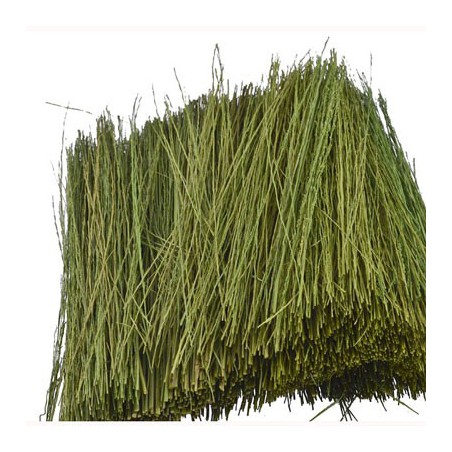 Light green Paturage grass 15g | Scientific-MHD