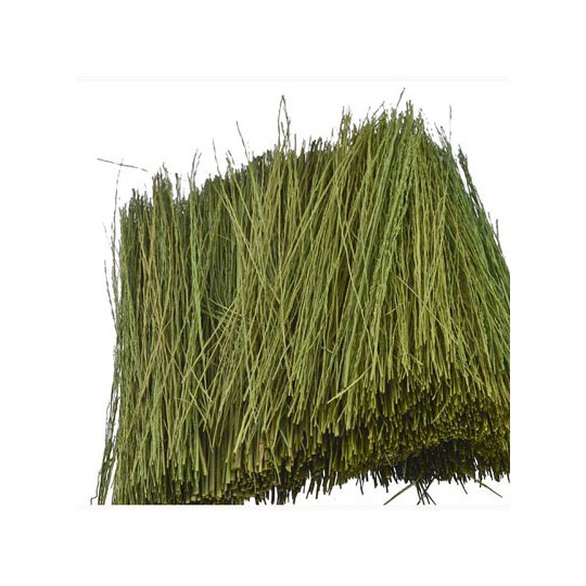 Gazons HERBE DE PATURAGE VERT CLAIR 15g