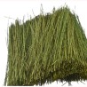 Gazons HERBE DE PATURAGE VERT CLAIR 15g