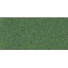 Grünes Schaumfeingrasgrün | Scientific-MHD