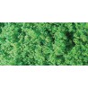 Fine green lawns | Scientific-MHD