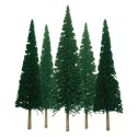 Sapins tree 100 to 150mm - Hole lade | Scientific-MHD