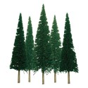 Baum Sapins 50 bis 100 mm - Fade n | Scientific-MHD