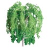 Arbre SAULES PLEUREURS 75mm - ECHELLE HO