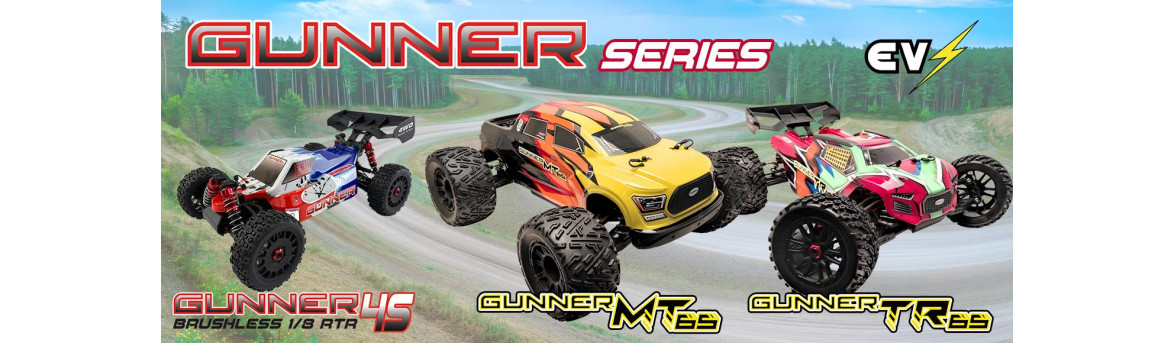 Voiture à télécommande électrique ou thermique