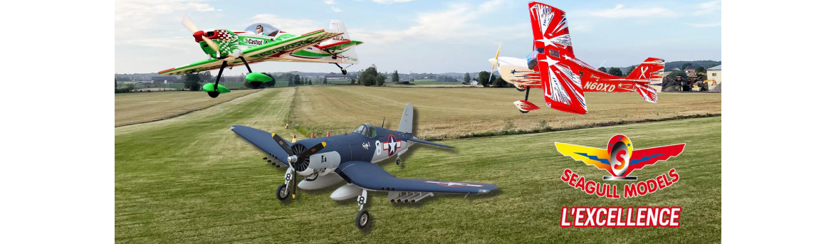 Avions télécommandés électriques et thermiques
