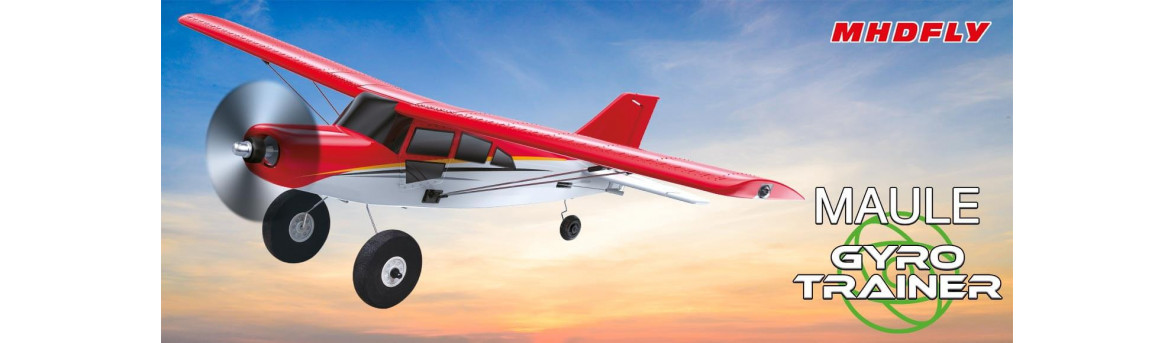 Beginner RC plane: your complete getting started guide